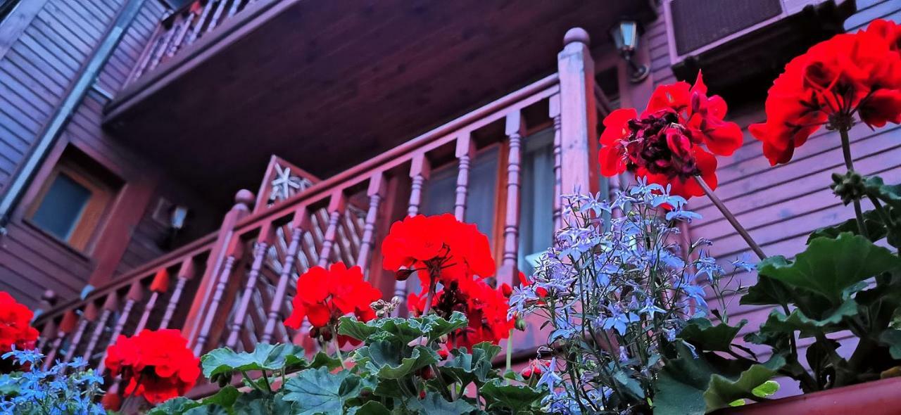 Hotel Albatros Old Town Sozopol Eksteriør bilde